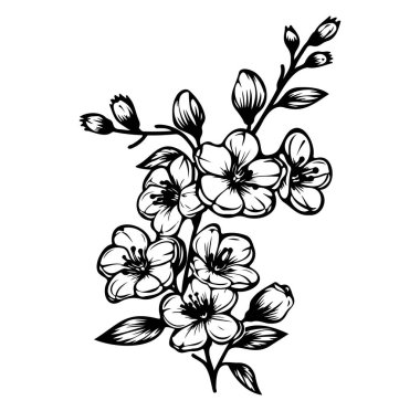 Tasarım Kullanımı İçin Zarif Siyah ve Beyaz Çiçek Çizimi
