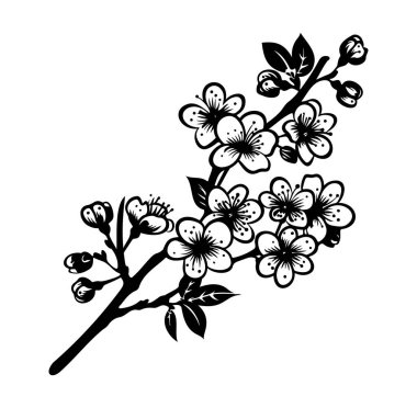 Beyaz Arkaplanda Siyah ve Beyaz Kiraz Çiçeği İllüstrasyonu