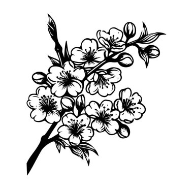 Kiraz Çiçeği dalının Zarif Siyah ve Beyaz Çiçek Tasarımı