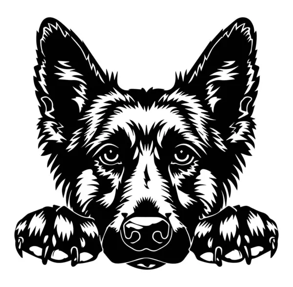 Bir Köpeğin Yüzünün Siyah ve Beyaz Sanatsal Resimleri