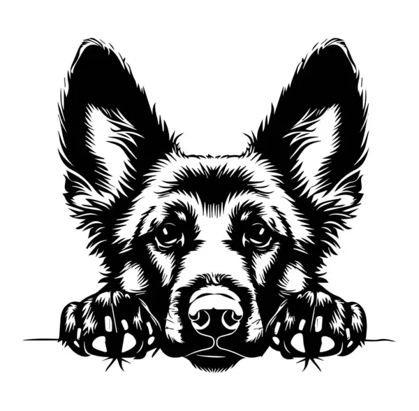 Neşeli Kulaklı Bir Köpeğin Siyah ve Beyaz Çizimi