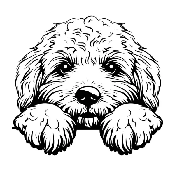 Yumuşak Kürk ve Meraklı İfadesiyle Şirin Köpek Çizimi