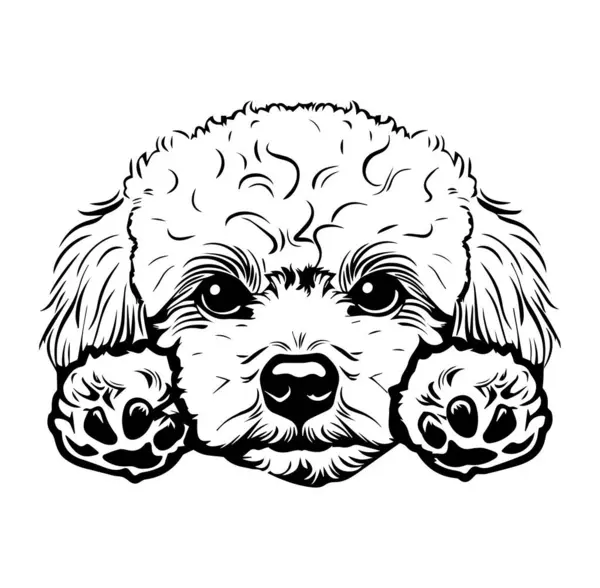 Yumuşak Kürklü Şirin Köpek Çizimi ve Büyük Gözlü Tasarım