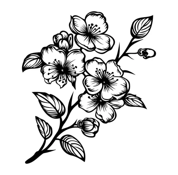 Siyah-Beyaz Kiraz Çiçeklerinin Zarif Çiçek İllüstrasyonu
