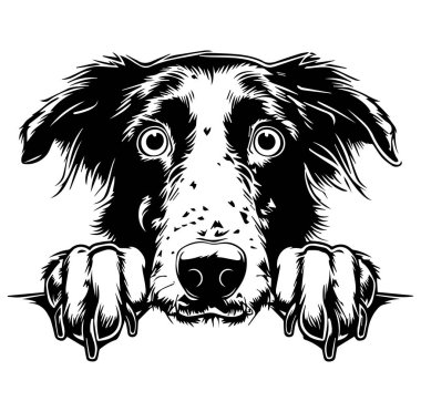 Siyah ve Beyaz Sanatta Çitin Üzerinden Bakan Sevimli Köpek