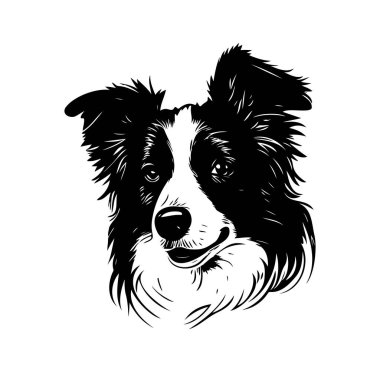 Siyah ve Beyaz Sınır Collie Köpek Çizimi