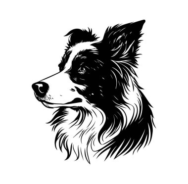 Bir Köpek Başı Profilinin Siyah ve Beyaz Görünümü