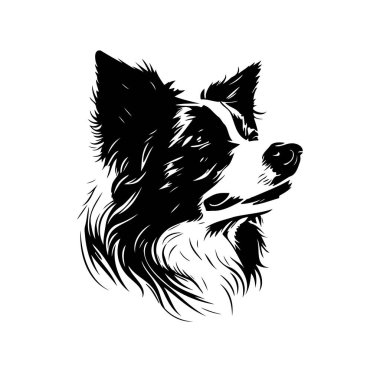 Siyah ve Beyaz Köpek Başı Yakından Görünümü