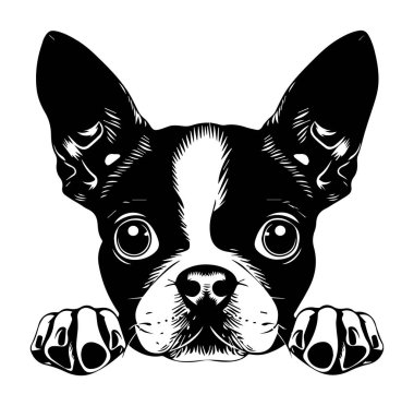 Büyük Gözlü Sevimli Siyah ve Beyaz Köpek Çizimi