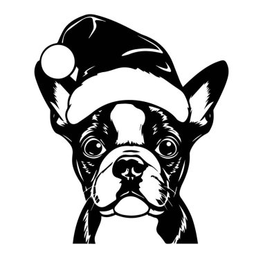 Noel Baba Şapkası Giyen Şirin Köpek Bayram Kutlamaları İçin Mükemmel