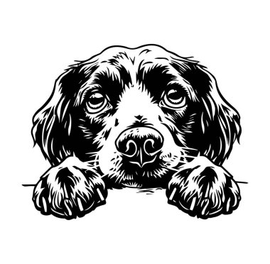 Siyah ve Beyaz Tasarımlı Şirin Köpek Surat