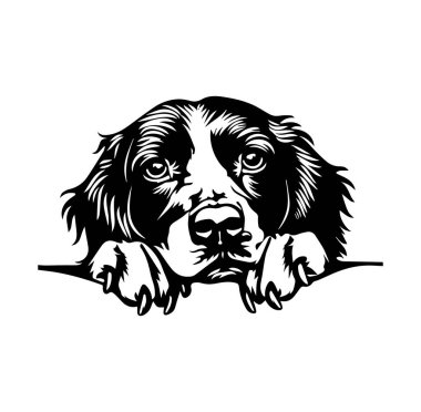 Büyük Gözlü Bir Köpeğin Siyah ve Beyaz Çizimi