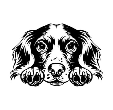 Büyük Gözlü ve Kabarık Kulaklı Şirin Köpek Çizimi