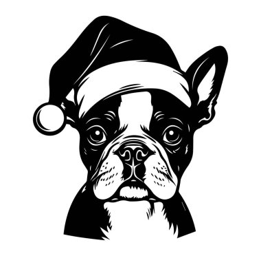 Noel Baba Şapkalı Şirin Fransız Bulldog 'u Bayram Tezahüratı