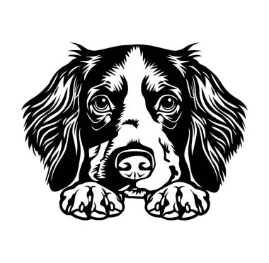 Ayrıntılı İfade ve Kürklü Şirin Köpek Yüzlü Görüntü