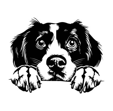 Yukarı Bakan Meraklı Bir Köpeğin Siyah ve Beyaz Çizimi