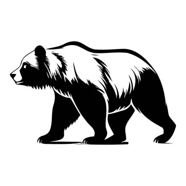 Kürk Dokusuna ve Dinamik Hareketine Vurgu Yapan Yürüyen Ayının Siyah ve Beyaz Çizimi