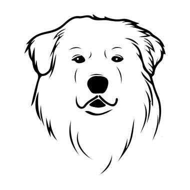 Siyah ve Beyaz Çizgi Sanat Tarzı Ayrıntılı Kürk ve İfadesiyle Gerçekçi Bir Köpek Başı Çizimi