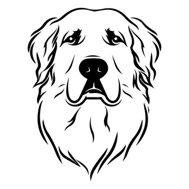 Sanat ve Tasarım İçin Minimalist Biçimli Altın Avcı Köpek Başı 'nın Detaylı Siyah ve Beyaz Çizimi