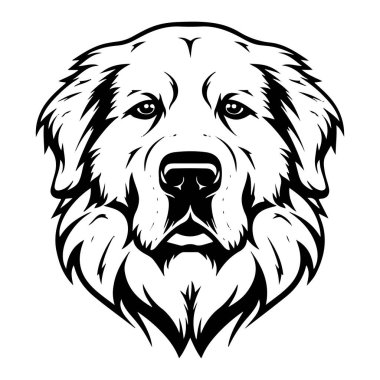 Kalın Kürklü ve İfade Eden Gözlü Görkemli Bir Köpek Başının Ayrıntılı Çizgi Sanatı Gösterimi