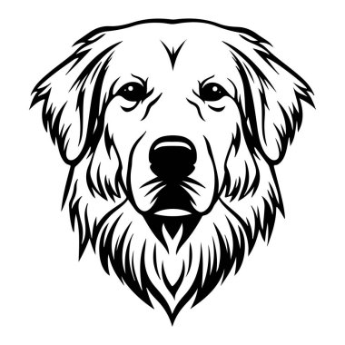 Siyah Çizgi Sanat Tarzı Altın Avcı Köpek Başı Detaylı ve Sanatsal Resimleri