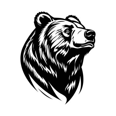 Cesur Özellikleri ve Çarpıcı İfadesi Olan Bir Ayı Başının Detaylı Siyah ve Beyaz ResmiName