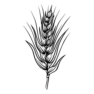 Tarımsal Temalar İçin Zarif Çizgiler ve İnce Dokularla Ayrıntılı Buğday Tabağı