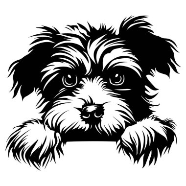 Sevimli ve Oyuncak Köpek Resimleri İfade Eden Gözler ve Yumuşak Kürklü Evcil Hayvanlar İçin Siyah ve Beyaz Tasarım