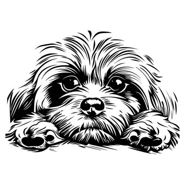 Büyüleyici Siyah ve Beyaz Tasarımlı Büyük Gözlü Şirin ve Oyuncak Köpek