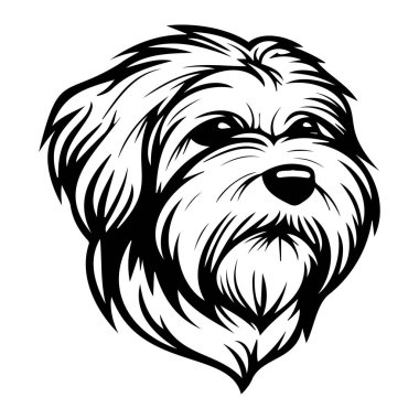 Siyah beyaz tüylü bir köpeğin ayrıntılı bir çizimi. İfade dolu gözleri oyuncu ve dost canlısı bir karakter sergiliyor.