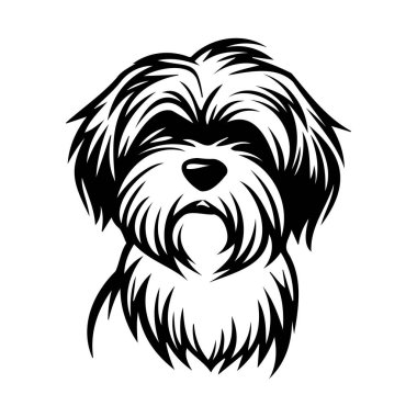 Karmaşık kürk desenleri ve anlamlı yüz hatları olan tüylü bir köpek kafasının ayrıntılı siyah beyaz çizimi