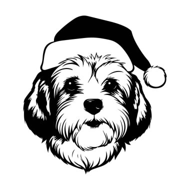 Bayram ve Şenlik Kutlamaları için Noel Baba Şapkası Giyen Sevimli Köpek Resimleri