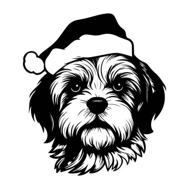 Bayram teması, Evcil Hayvanlar ve Festivaller için Siyah ve Beyaz Görüntü 'de Noel Baba Şapkası Giyen Sevimli Köpek