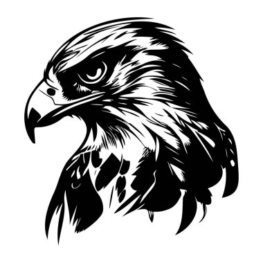 Keskin Özellikleri ve Yoğun İfadesiyle Vahşi Kartal Başının Çarpıcı Detaylı Siyah ve Beyaz ResmiName