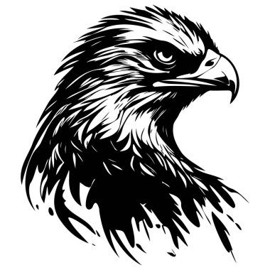 Görkemli Kartal Kuş Başı Profili Doğa ve Vahşi Yaşam Teması İçin Siyah ve Beyaz Görüntü