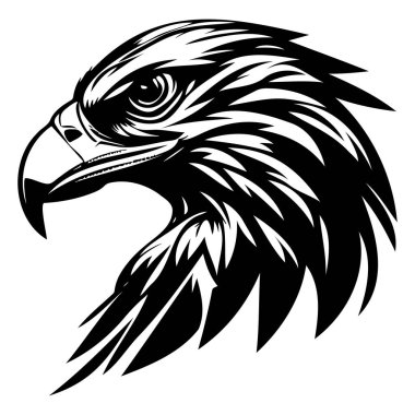 Keskin gagalı ve Beyaz Tasarım Görkemli Tüylü Vahşi Kartal Başı 'nın Detaylı Çizimi