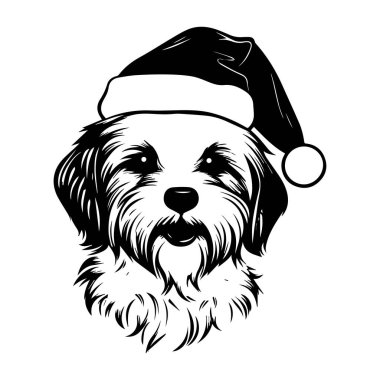 Noel için gülümseyen Noel Baba Şapkalı Neşeli İfade ve Neşeli Cazibe ile Neşeli Köpek