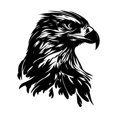 Keskin özellikleri ve görkemli varlığı sanatsal tasarım yoluyla sergileyen bir kartal kafasının ayrıntılı siyah beyaz çizimi