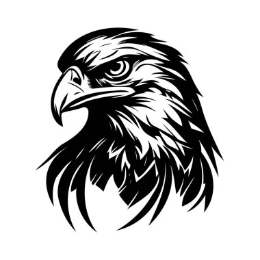 Kartal Başı 'nın Kartal Başı' nın Karmaşık Tasarımı ve Büyüleyici İfadesiyle Ayrıntılı