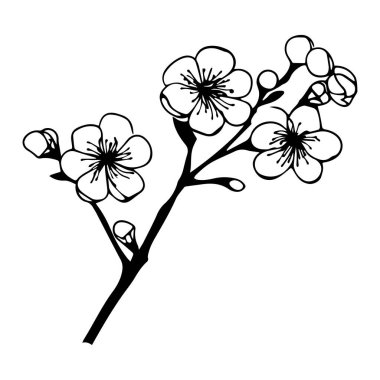 Çiçek açan dallar ve karmaşık çiçek detayları içeren narin el çizimi çizimleri tasarım projeleri için mükemmel.