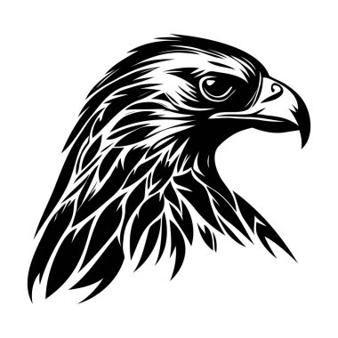 Keskin gagalı ve Karmaşık Tüy Tasarımlı Görkemli Bir Kuş Başı 'nın Ayrıntılı Çizimi