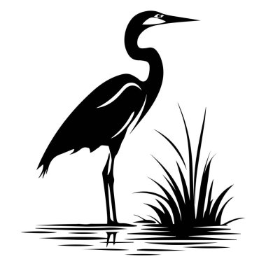 Huzurlu bir su ortamında çimlerin yanında duran, doğa temalı projeler için mükemmel bir kuş silueti.