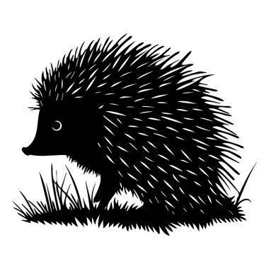 Doğa ile çevrili Çimenlerdeki Kirpinin Silueti Vahşi Yaşamın Özünü ve Doğal Yaşam Alanını Yakalıyor