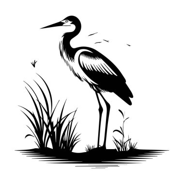 Zarif balıkçıl, uzun otlar ve sakin suyla doğal ortamında zarif bir şekilde duruyor. Siyah beyaz resimde vahşi yaşamı gösteriyor.