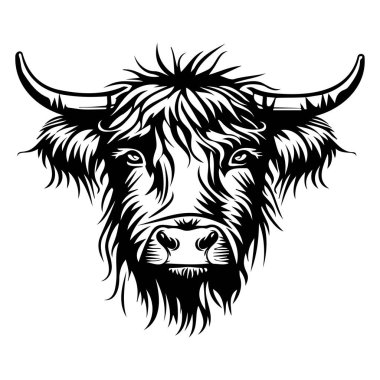 Dağlık İneğin Hayvancılık ve Kırsal Tema İçin Saç ve Boynuzları Detaylı Sanatsal Siyah ve Beyaz Resimleri
