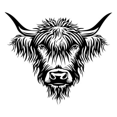Belirgin Boynuzları ve Dokulu Kürkü olan İskoç İneği 'nin Ayrıntılı Sanatsal Siyah ve Beyaz İllüstrasyonu