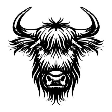Belirgin Boynuzları ve Siyah ve Beyaz Tasarımlı Uçan Kürklü İskoç İnek Başının Ayrıntılı Resimleri