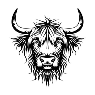 Soyut Çizgileri ve Sanatsal Projeler İçin Tek Renkli Kürklü Kürklü İskoç İnek Başlığının Ayrıntılı Resimleri