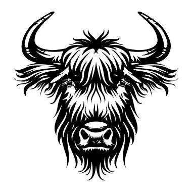 İskoç inek çizimi, belirgin boynuzları ve kalın kürk dokusuyla güçlü bir boğanın ayrıntılı siyah beyaz çizimi.