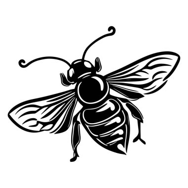 Karmaşık kanatları ve vücut tasarımı olan bir arının detaylı siyah beyaz çizimi, doğanın sanattaki küçük harikalarını gözler önüne seriyor.